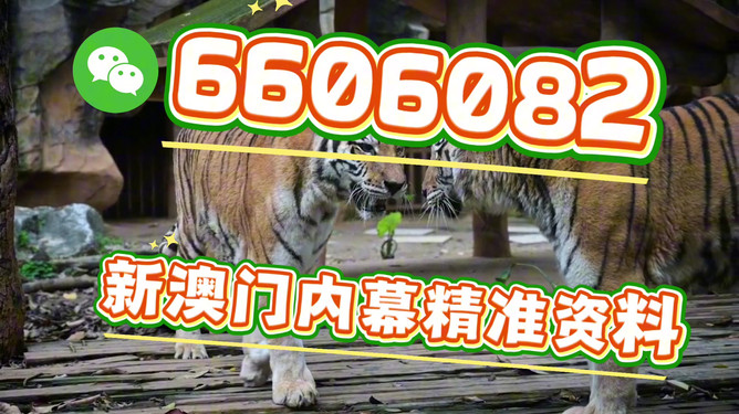澳门今晚必开一肖期期，探索幸运之门，澳门今晚必开一肖揭秘幸运之门