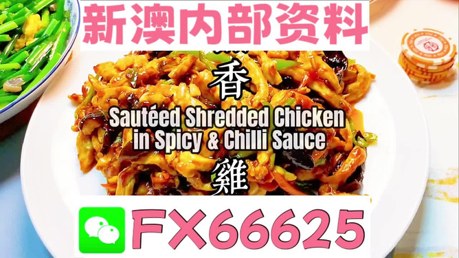 新奥最精准资料大全怎么样，新奥最精准资料大全评测与概览