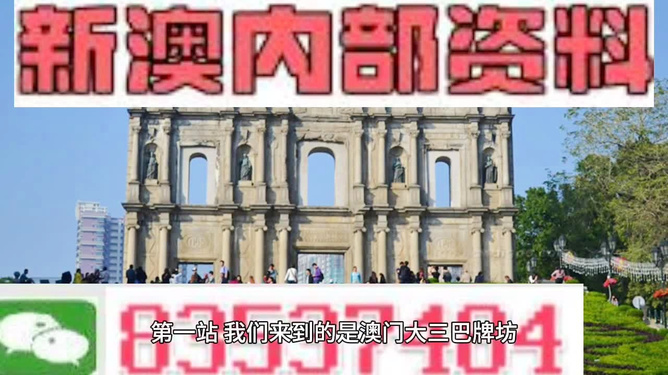 新奥新澳门正版资料，新澳门正版资料概览