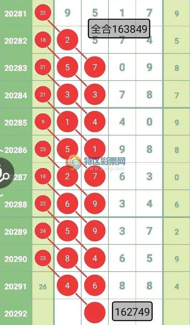 揭秘四肖选一肖一码，揭秘彩票背后的秘密，揭秘四肖选一肖一码，揭开彩票背后的神秘面纱