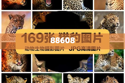 迈向2025，正版资料免费公开，共创知识共享新时代，迈向2025，正版资料免费公开，共建知识共享新时代