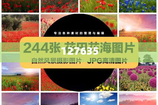 7777788888精准新传真，数字时代的全新体验，数字时代全新体验，7777788888精准新传真