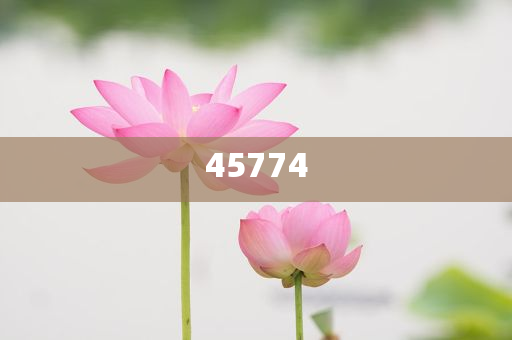 2025年澳门正版免费，澳门正版免费资料揭秘，预测未来的趋势（2025年）