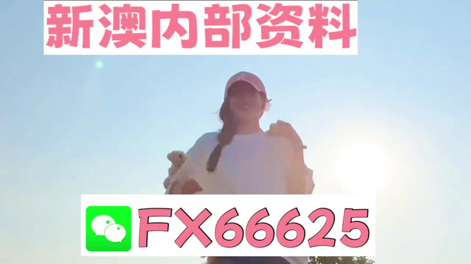 揭秘7777788888管家婆一肖码，揭秘神秘的管家婆一肖码，77777与88888背后的秘密