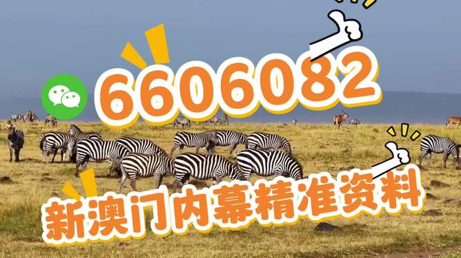 揭秘今晚澳门特马开出的幸运号码，澳门特马今晚幸运号码揭秘