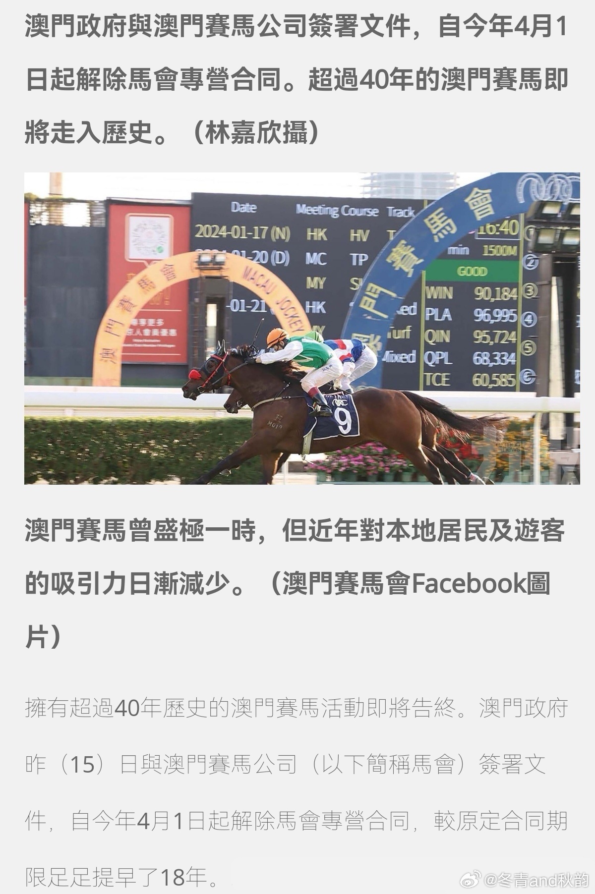 澳门历史马记录，澳门历史马记录概览