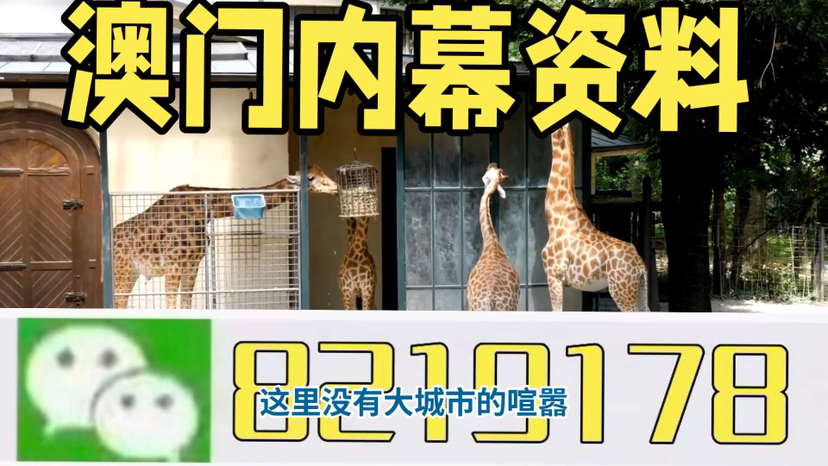 探索未来，聚焦澳门生肖彩票的奥秘——以2025年澳门生肖彩票为例，揭秘未来澳门生肖彩票奥秘，以展望2025年为例