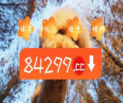 新澳门二四六天天彩，探索与体验，新澳门二四六天天彩，深度探索与独特体验