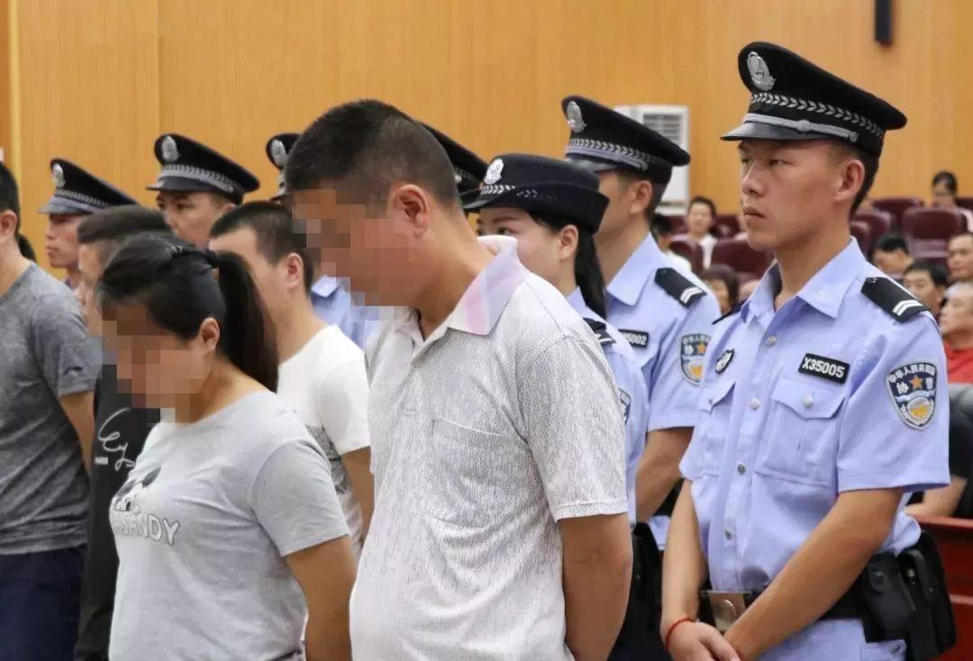香港精准特马免费资料，香港精准特马免费资料全解析