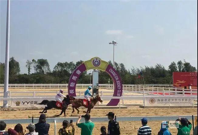 香港赛马免费公开资料大全，香港赛马免费公开资料全解析