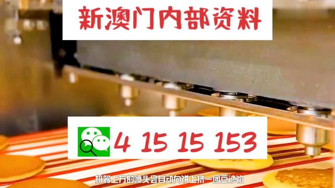 2025新澳门王中王正版，澳门正版王中王预测结果揭晓，新澳门王中王2025版来袭