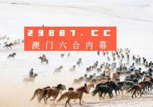 揭秘4949澳门今晚开奖，热门网络语言解读彩票魅力，揭秘澳门彩票魅力，今晚开奖与热门网络语言解读彩票背后的故事