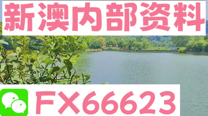 新澳精准资料免费提供，探索第265期的奥秘与价值，新澳第265期精准资料揭秘，探索奥秘与价值