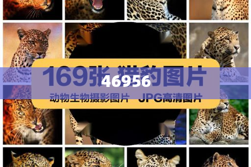 新奥2025天天开好彩，新奥2025，每日彩运亨通