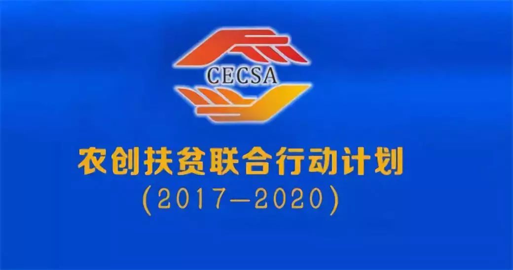 7777788888准新传真，准新传真揭秘，数字组合背后的秘密 77777与88888的奥秘