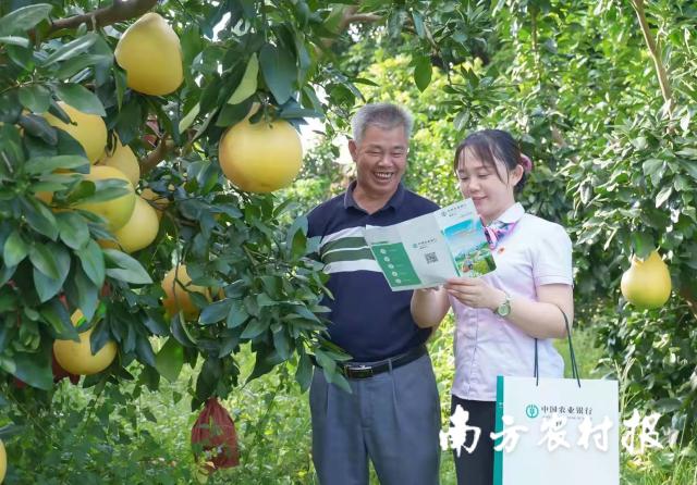 2025年最新资料大全官网入口，2025年最新资料大全官网入口，一站式获取最新信息的平台