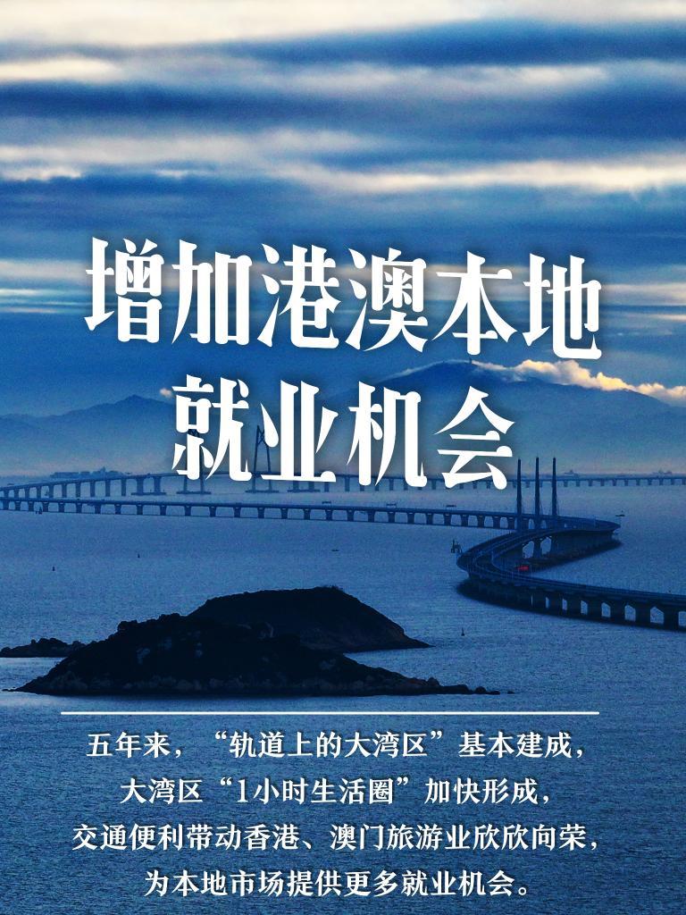 新澳门最冷的号码，探索与解析，澳门冷门号码揭秘与解析