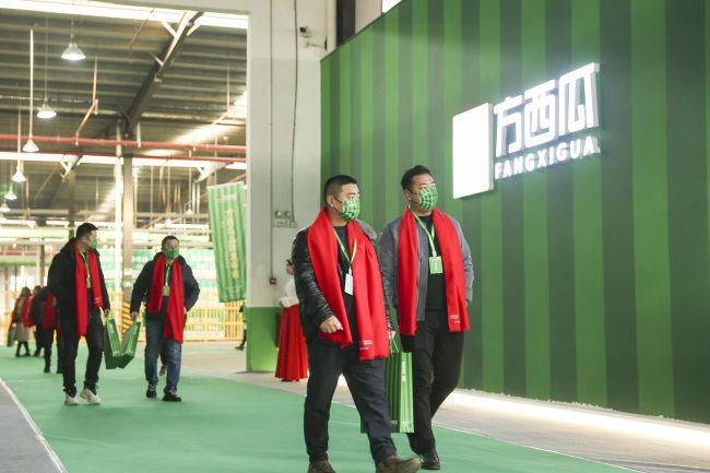 2025新港资料免费获取指南，2025新港资料免费获取攻略