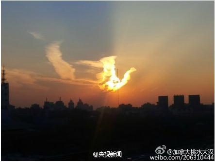 444999火凤凰论坛大全，444999火凤凰论坛全攻略