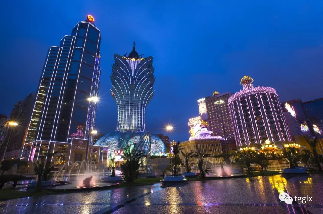 2025新澳门天天免费厦门，澳门与厦门，免费旅游新篇章