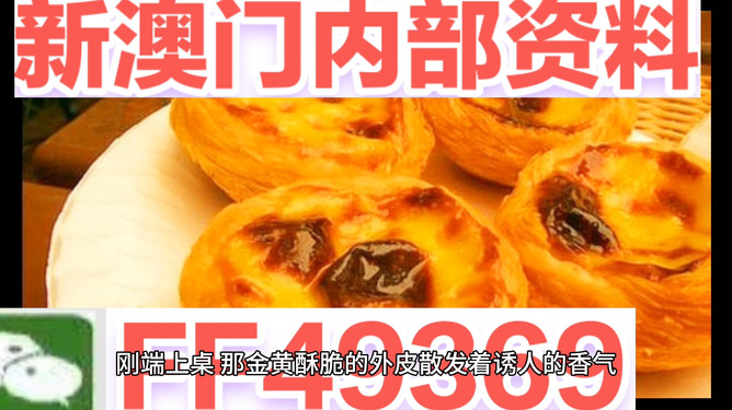 2025新澳天天正版免费观看