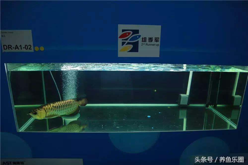 游戏专题 第170页