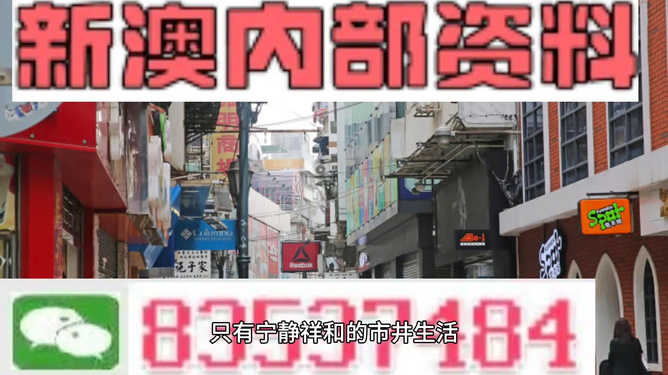 新门内部资料精准大全揭秘，新门内部资料揭秘大全