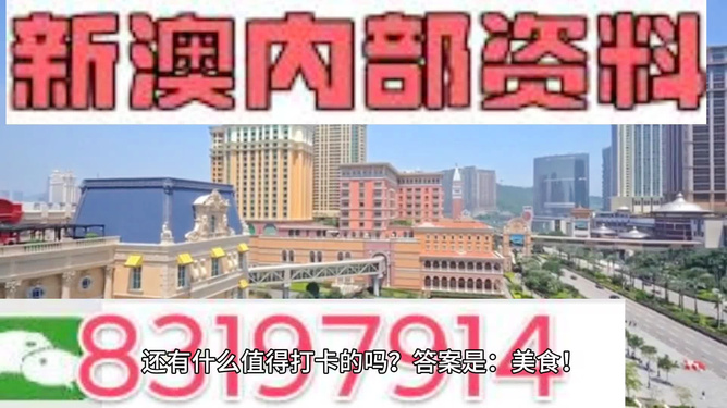 新澳门天天免费精准大全，一网打尽最新资讯与攻略，澳门最新资讯与攻略大全，天天免费精准获取