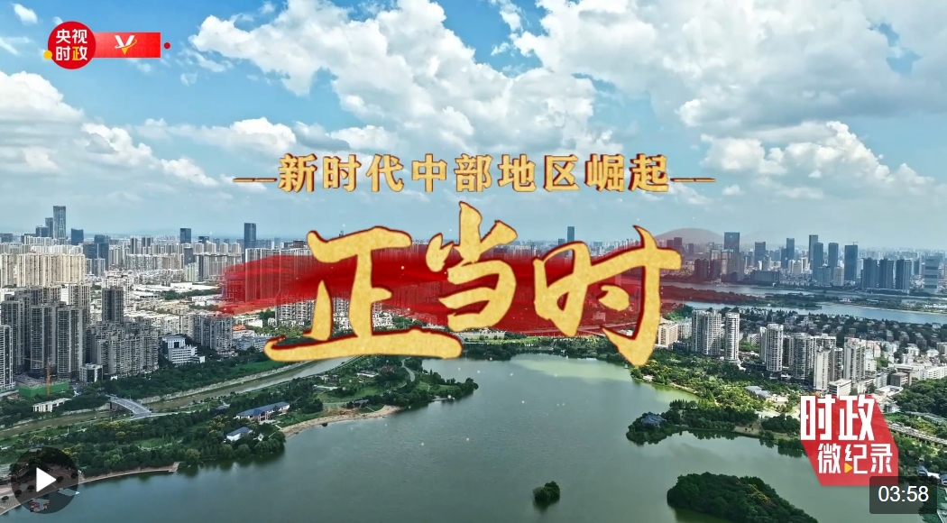 新澳最精准正最精准龙门，新澳龙门精准预测，揭秘最精准的预测秘籍