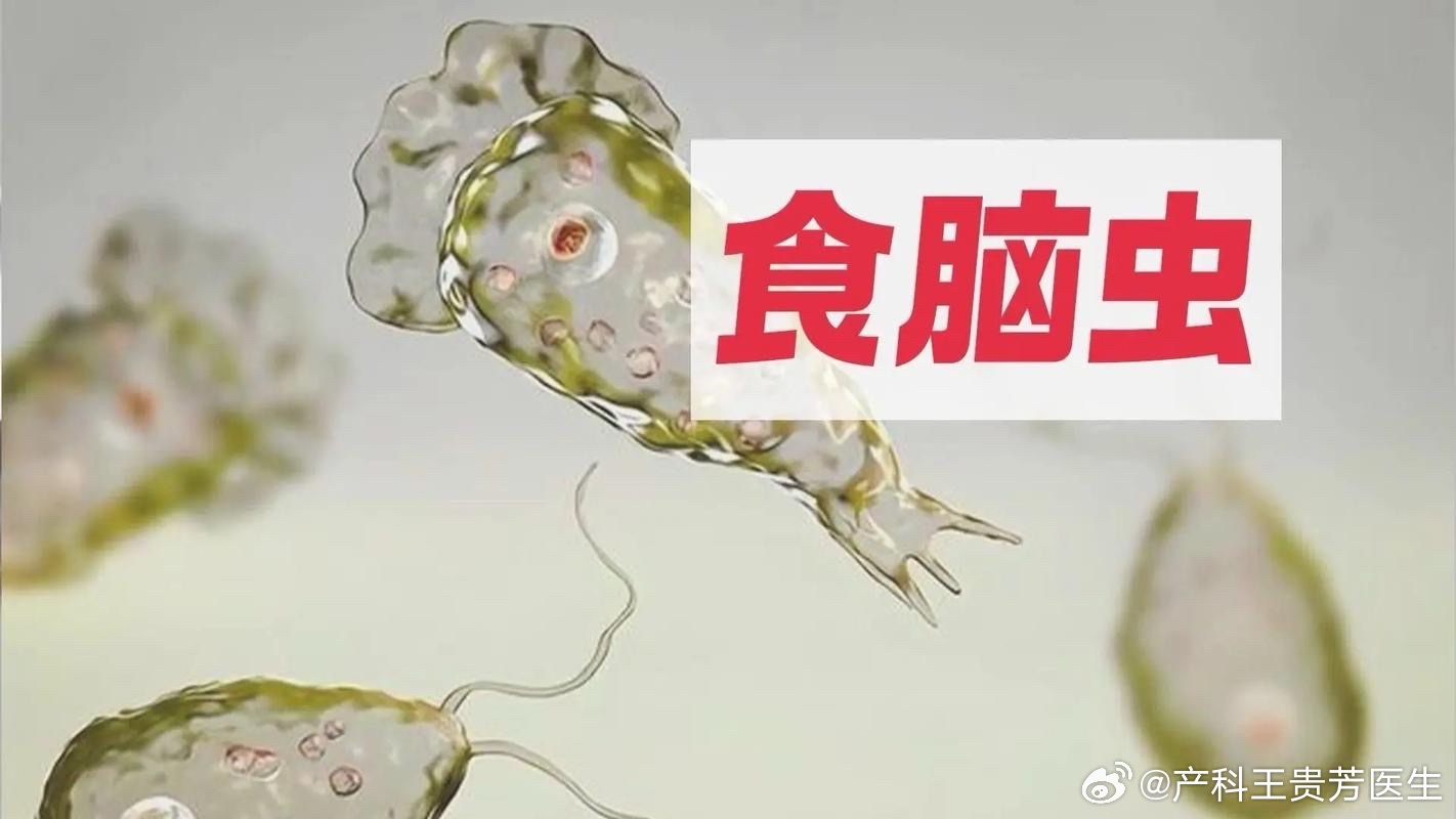 港澳新闻 第147页