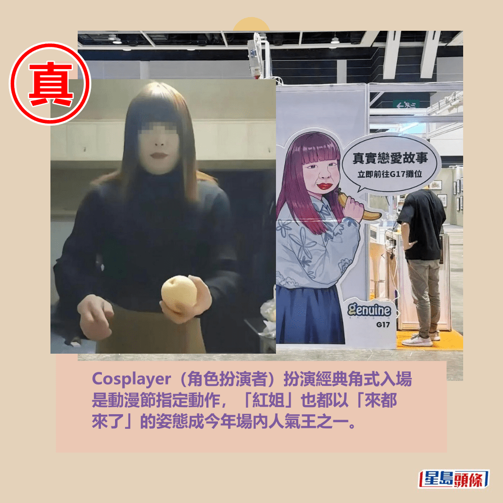 香港红姐马会资料论坛——探索热门资讯的聚集地，香港红姐马会资料论坛，热门资讯探索与聚集地