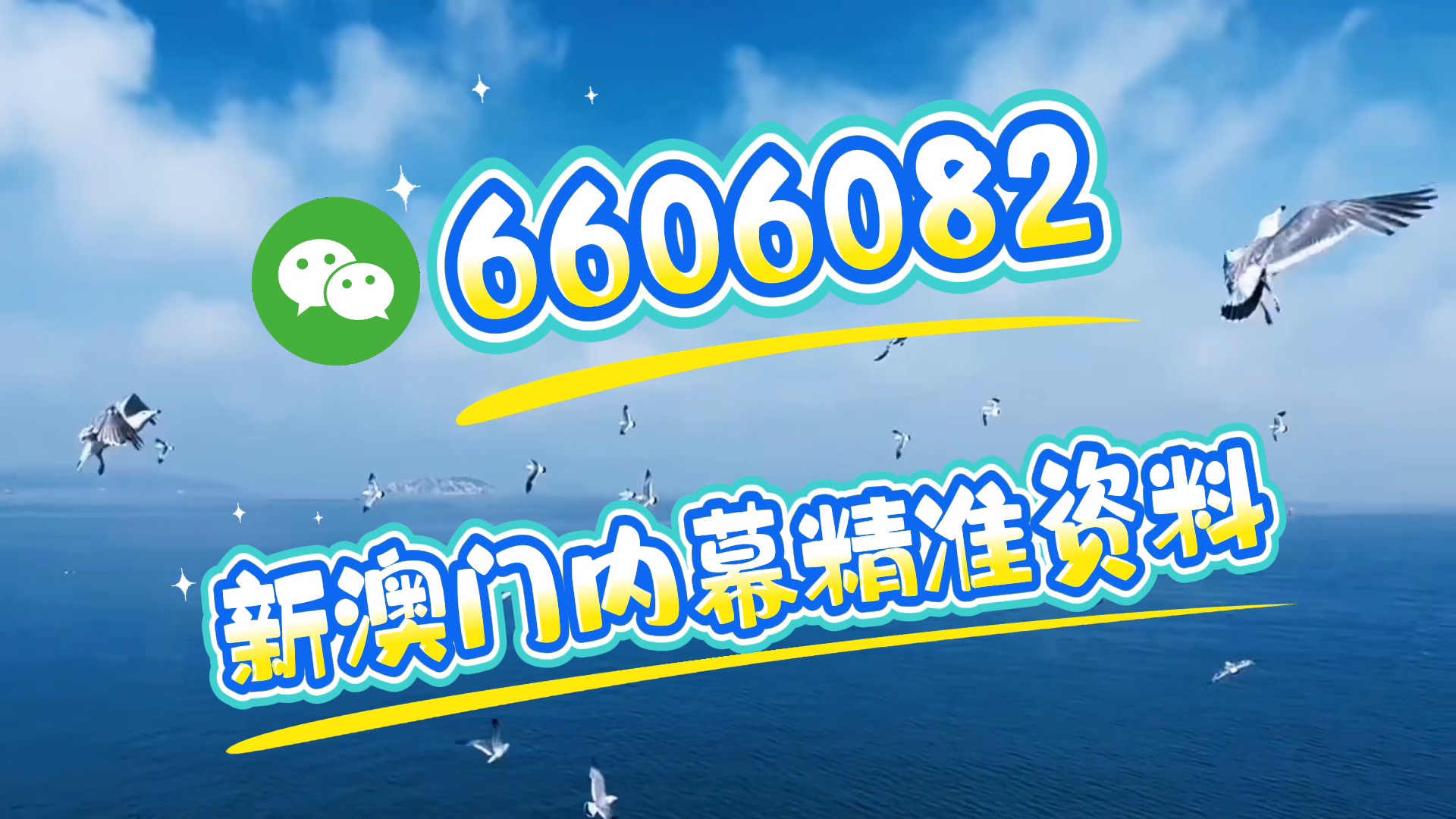 新澳门期期准精准——探索现代澳门的魅力，现代澳门魅力探索，期期准精准的新面貌