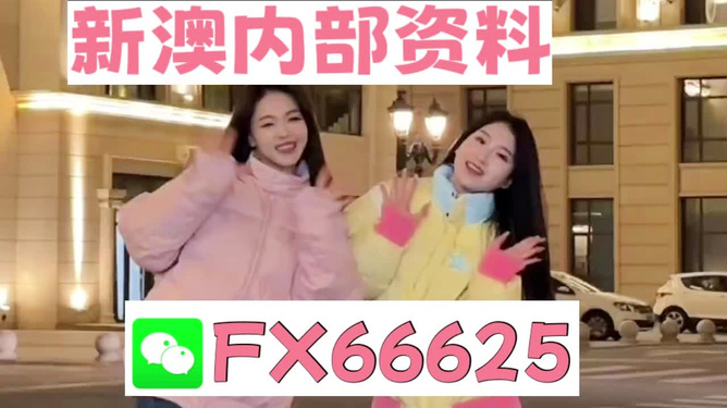 探索管家婆一码资料，揭秘数字时代的财富秘籍，揭秘数字时代的财富秘籍，管家婆一码资料探索之旅