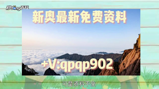 新澳2025年精准正版资料，新澳2025年正版资料概览
