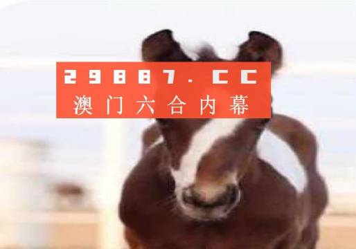 澳门一肖一码100，揭秘彩票背后的秘密与魅力，澳门彩票揭秘，一肖一码的魅力与背后的秘密