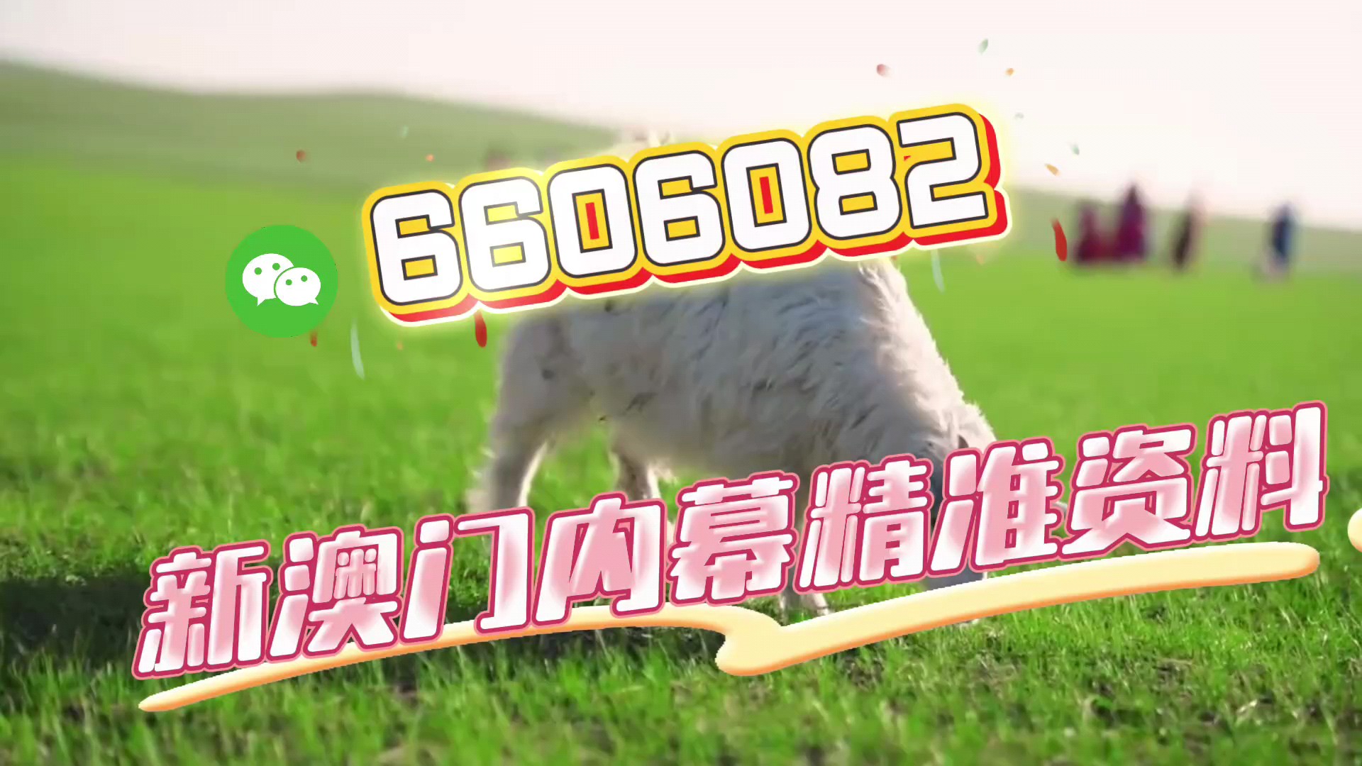 澳门一肖一码伊一特一中，探寻幸运之城的秘密，澳门幸运之城探寻记，一肖一码伊一特一中揭秘