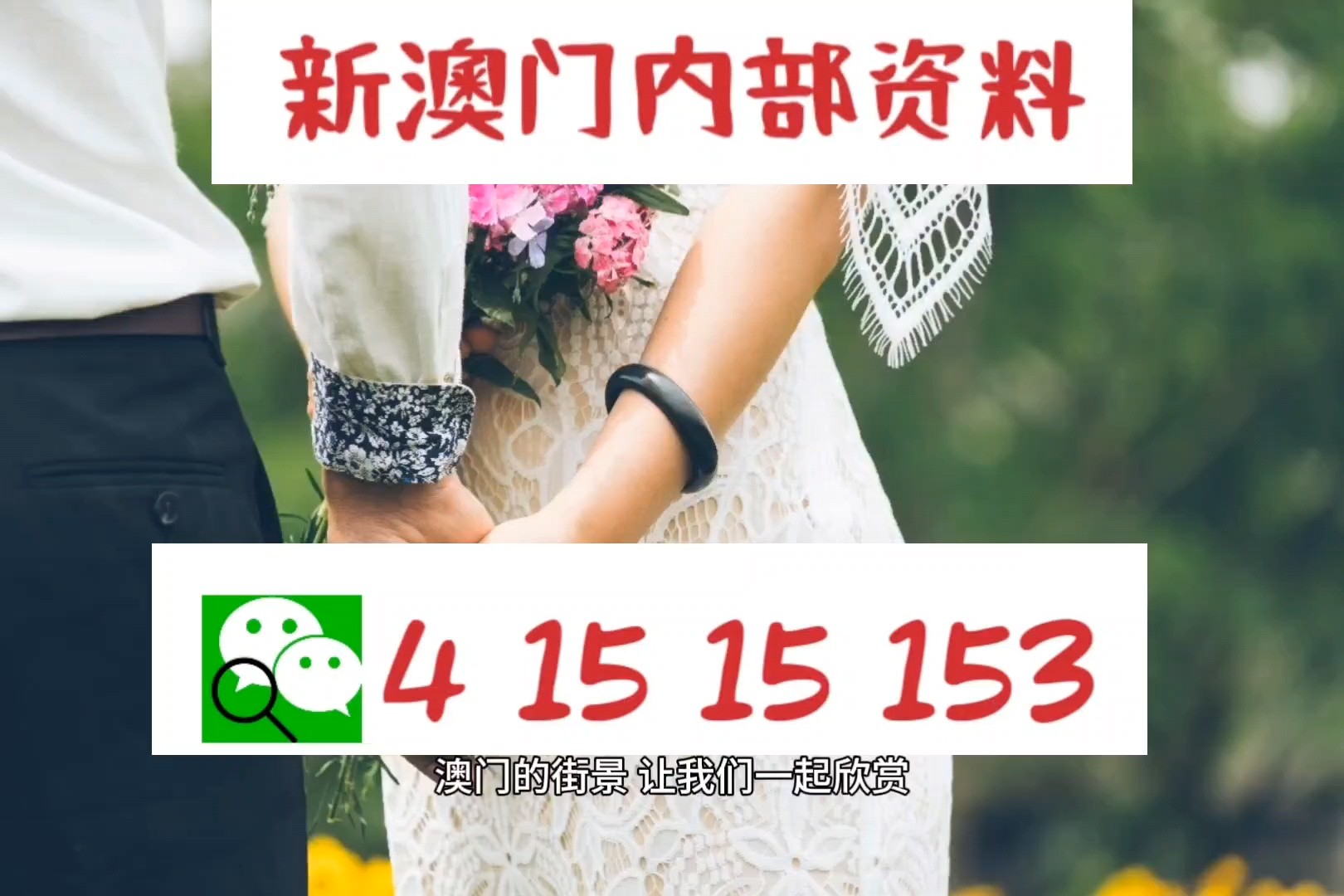 澳门资料大全,正版资料查询，澳门正版资料大全查询