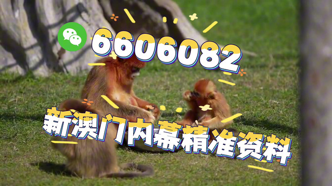 香港精准特马免费资料大揭秘，香港精准特马资料大揭秘，免费资料揭秘独家内幕