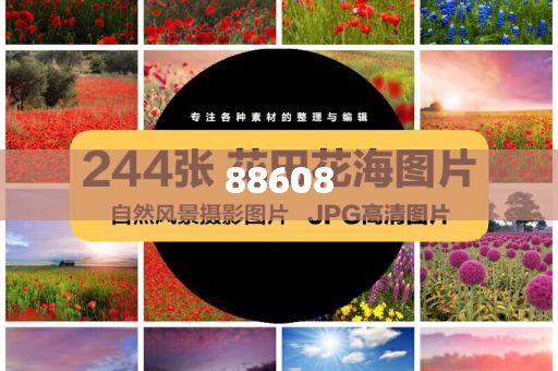 迈向2025，正版资料免费公开的崭新篇章，迈向2025，正版资料免费公开的开放新时代