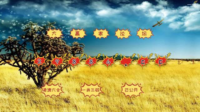 4949澳门今晚开奖，澳门今晚开奖结果揭晓