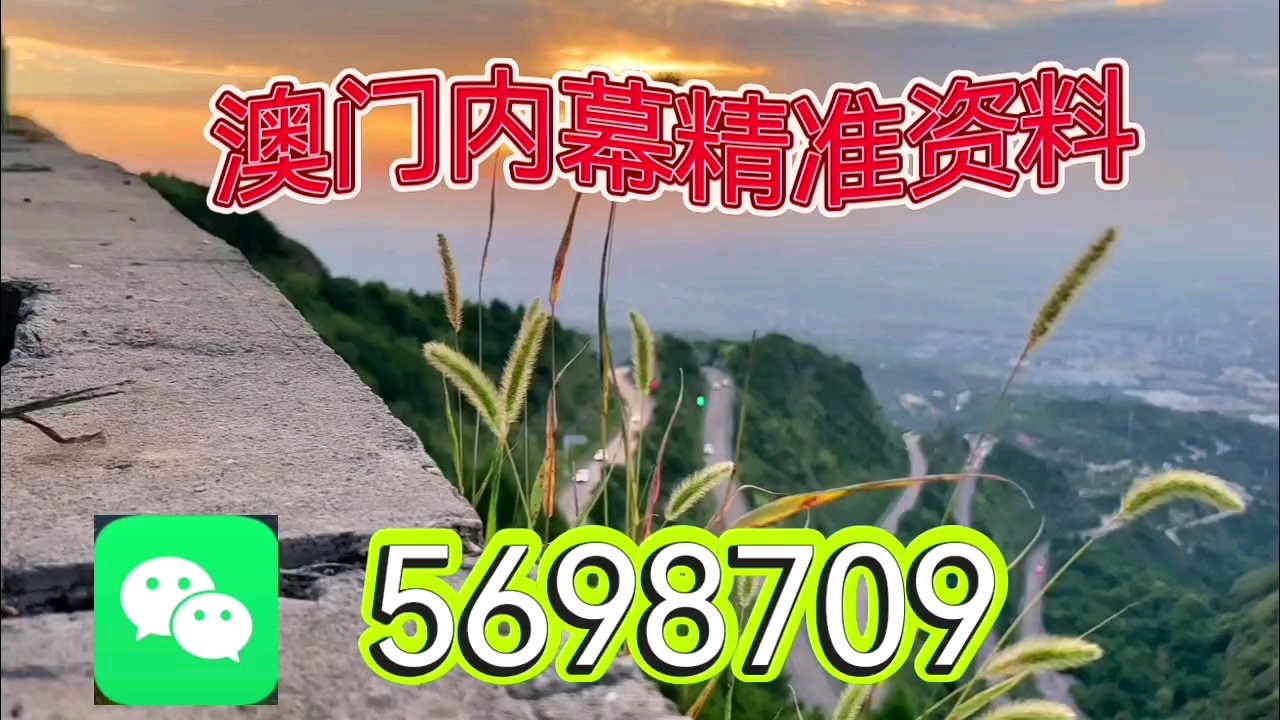 新奥门资料大全正版2025年免费下载指南，澳门正版资料大全2025年免费下载指南