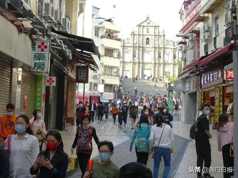 澳门今晚开奖号码走势分析，澳门今晚开奖号码走势预测与分析
