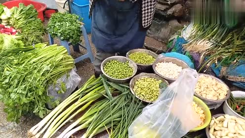 2004年澳门天天开好菜大全