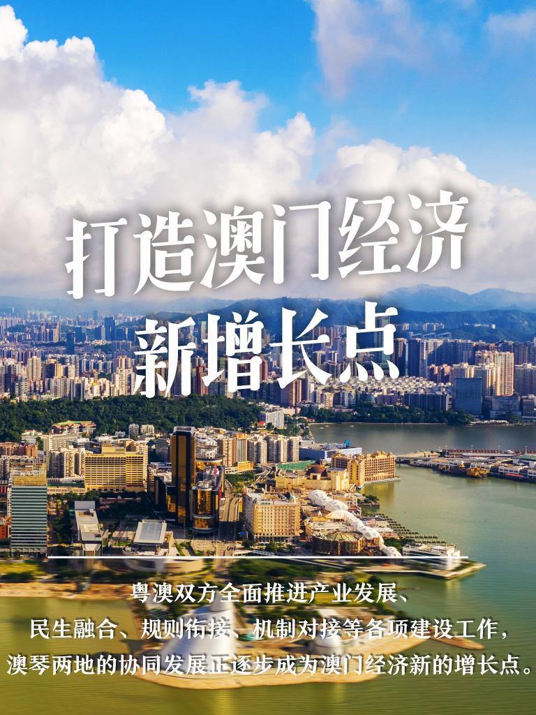 新澳门二四六天空彩与天天彩，探索数字世界的魅力，澳门数字彩票世界，二四六天空彩与天天彩的魅力探索