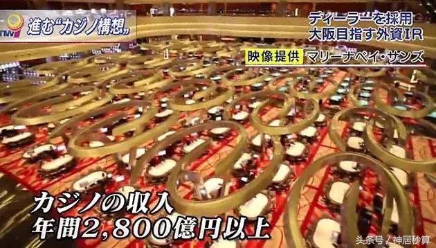揭秘澳门天天开好彩大奖走势图——走向成功的关键指南，澳门天天开好彩大奖走势图揭秘，成功指南助你走向胜利之路