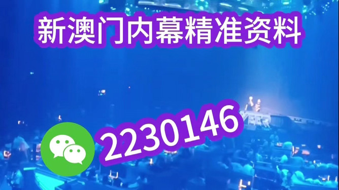 探索未来，2025年澳门特马之夜，探索未来，澳门特马之夜 2025展望