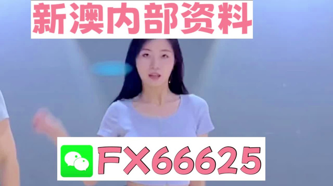 新澳门管家婆免费资料查询，澳门管家婆免费资料查询全新上线
