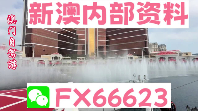 2025新奥资料免费精准，2025新奥资料免费精准获取指南