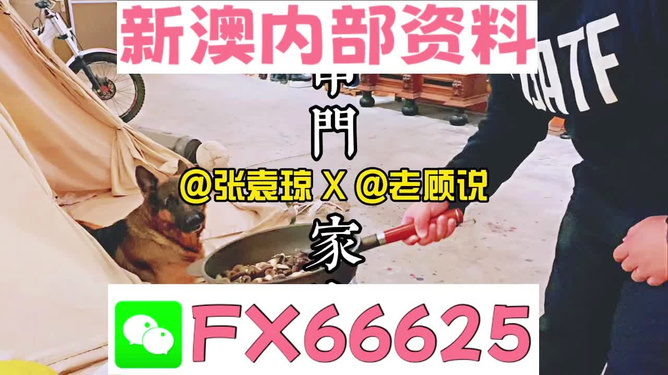 新澳门精准资料大全——管家婆料的深度解析，澳门精准资料大全，管家婆料深度解析