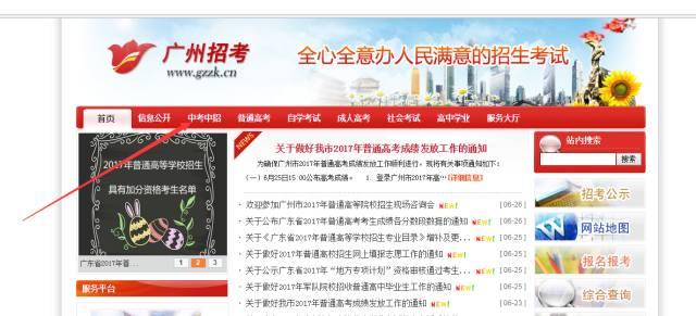 新奥门正版免费资料怎么查